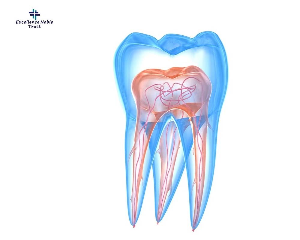 Endodontics Treatment in West Delhi