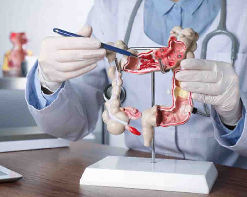 Gastroenterology Treatment